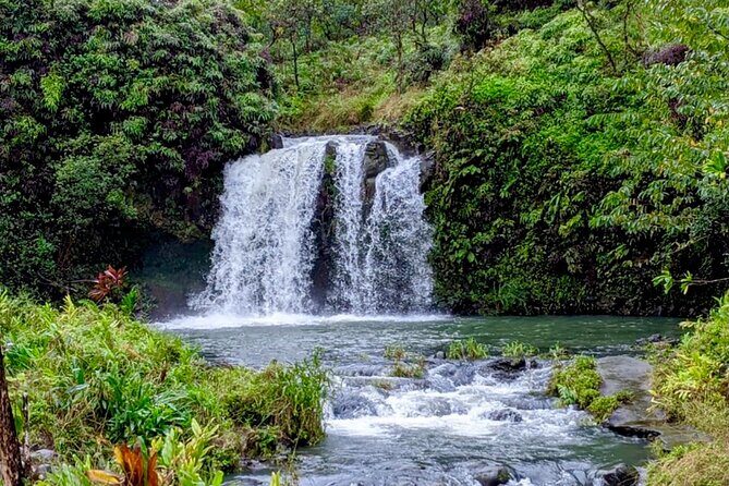 Maui: Small Group Road to Hāna Tour 6 to 8 passengers - Price and what you’re actually buying for $250+