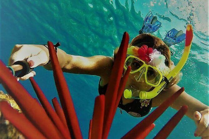 Maui Snorkel Adventure: Molokini Crater and Turtle Cove - Makena Beach: A quick stop that helps the day flow