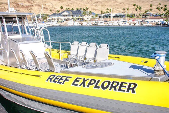 Maui Snorkel Adventure: Molokini Crater and Turtle Cove - Should you book Maui Snorkel Adventure: Molokini Crater and Turtle Cove?