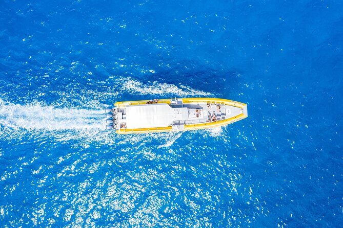 Maui Snorkel Adventure: Molokini Crater and Turtle Cove - Lunch on board: Turkey wrap, veggie option, and practical fueling