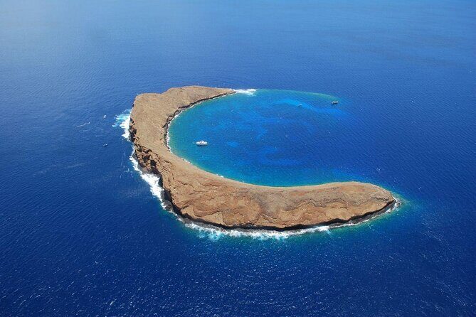 Maui Snorkeling Adventure to Molokini and Turtle Town - Key highlights at a glance