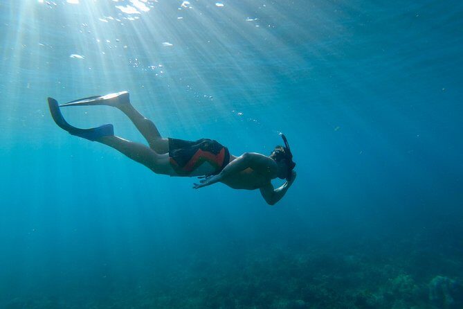 Maui Snorkeling Boat Tour to Turtle Town Aboard Quicksilver - Price and value check: is $99.95 worth it?