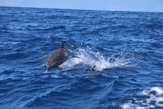 Maui to Lanai Semi-Private Eco Raft Snorkel & Dolphin Tour - The food and snacks onboard: not an afterthought