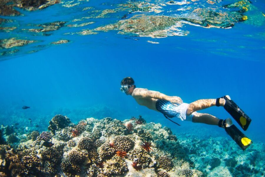 Maui: Turtle Town Kayak and Snorkel Tour - Key Things I’d Put on Your Must-Do List
