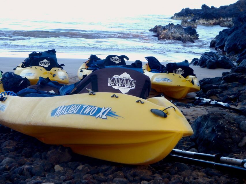 Maui: Turtle Town Kayak and Snorkel Tour - Practical Tips So You Enjoy Every Minute