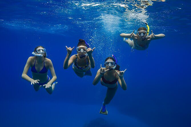 Maui: Turtle Town Snorkel with Photo and Video - Makena Landing Park Check-In: Quick, Simple, and Close to Kihei