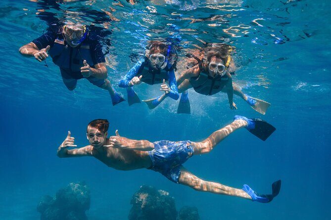 Maui: Turtle Town Snorkel with Photo and Video - Wildlife Etiquette: How You Keep Turtles in Your View
