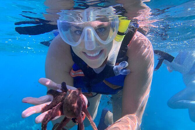 Maui: Turtle Town Snorkel with Photo and Video - Photo and Raw Video: The Bonus That Turns Memories Into Proof