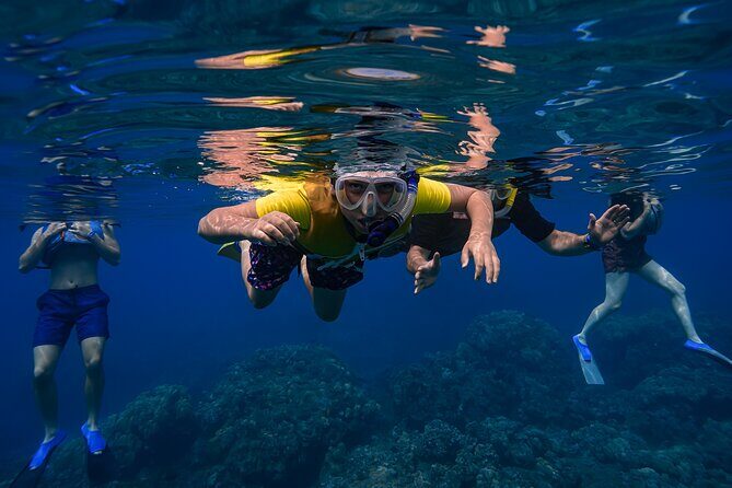 Maui: Turtle Town Snorkel with Photo and Video - Price and Value: Is $129 Worth It for Turtle Town?