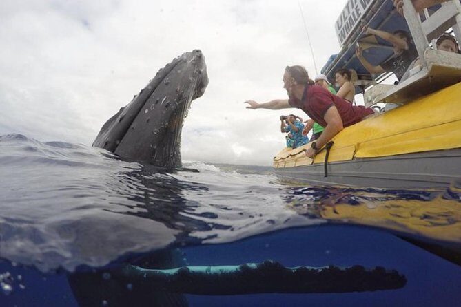 Maui: Ultimate Whale Watch from Lahaina - Duration and Tour Options: Picking 1.5 Hours vs 2 Hours