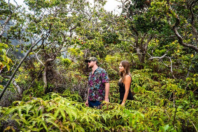Maui: VIP Private Road to Hana Tour with Pick Up - Ke‘anae Point: lava history you can see from the highway