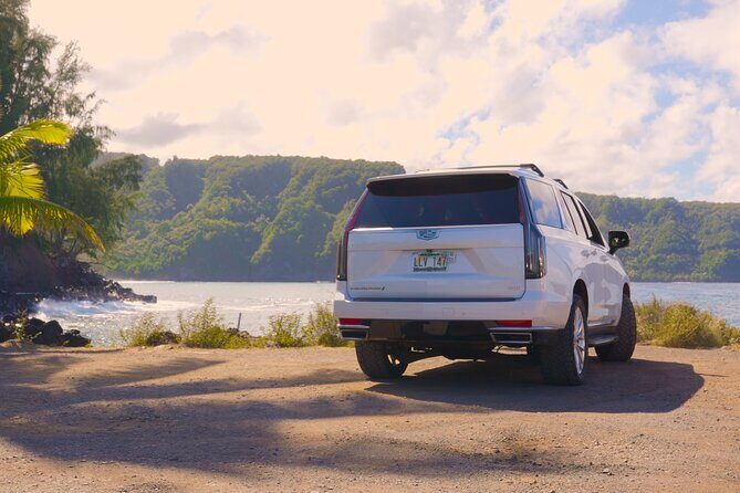 Maui: VIP Private Road to Hana Tour with Pick Up - Pua‘a Ka‘a State Park: rainforest quiet and a natural pool