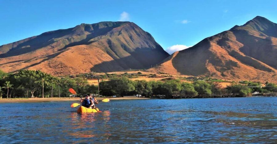 Maui: West Side Discovery Kayak & Snorkel from UKUMEHAME - Kayaking the Olowalu or Ukumehame Coast for Real Marine Wildlife