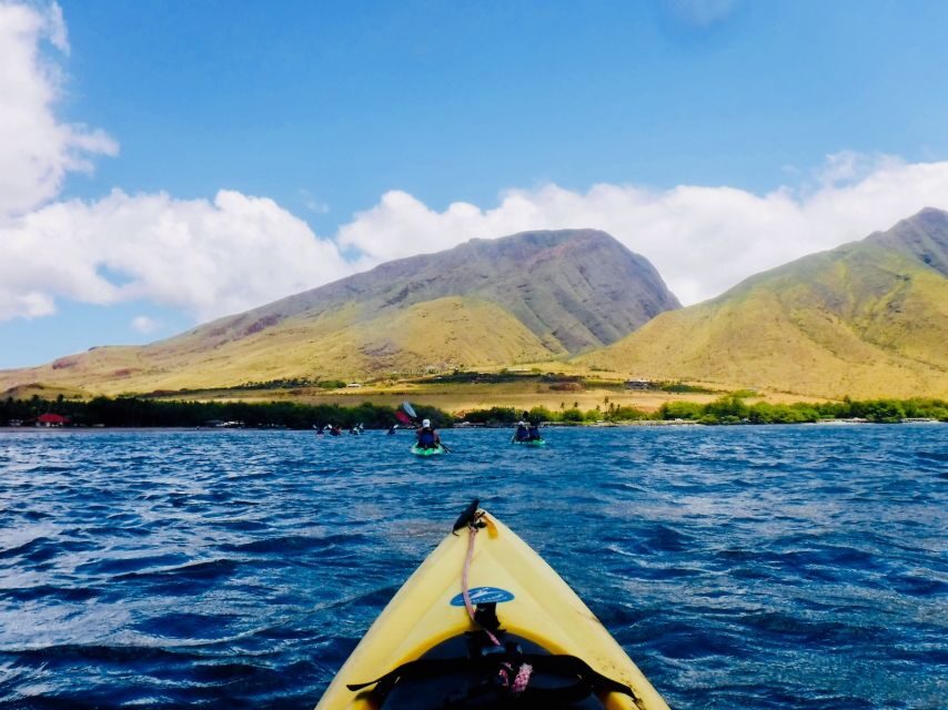 Maui: West Side Discovery Kayak & Snorkel from UKUMEHAME - Whale Season Timing: Humpback Chances Late Dec to Late Apr