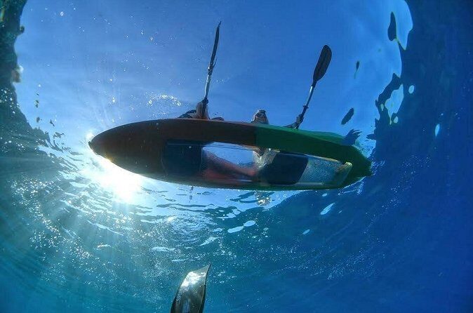 Maui's Only Clear Bottom Kayak Rental (priced per tandem kayak) - Two Hours of Paddling Freedom (and What to Do With It)