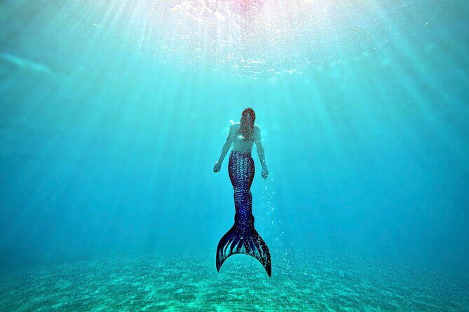 Mermaid Ocean Swimming Lesson in Maui - Key Points You Should Know Before You Go