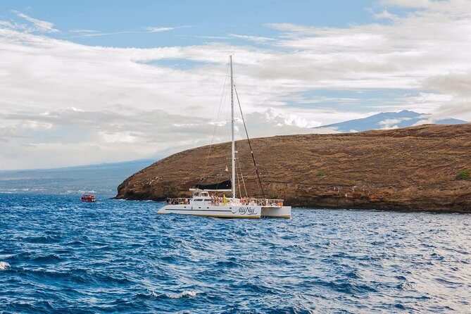 Molokini and Turtle Arches Snorkeling Trip from Ma'alaea Harbor - Food on Board: Breakfast and BBQ Lunch Actually Built for Snorkel Days