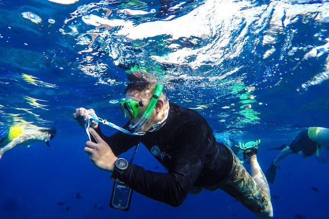 Molokini and Turtle Arches Snorkeling Trip from Ma'alaea Harbor - Snorkel Gear, Reef-Safe Sunscreen, and the Rules That Keep the Reef Healthy