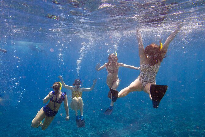 Molokini Snorkel and Performance Sail: Mā’alaea Harbor - Key things to know before you go
