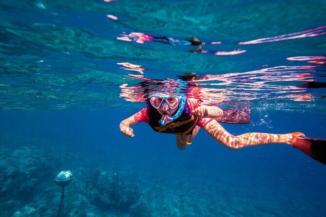 Molokini Snorkel and Performance Sail: Mā’alaea Harbor - If conditions change: detours and safety-first decisions