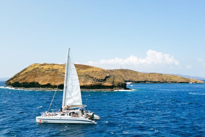 Molokini Snorkel and Performance Sail: Mā’alaea Harbor - Price and value: what $200 buys you on Maui