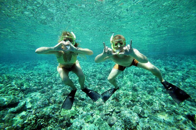 Molokini Snorkel and Performance Sail: Mā’alaea Harbor - Getting the most from your morning at Maalaea Harbor
