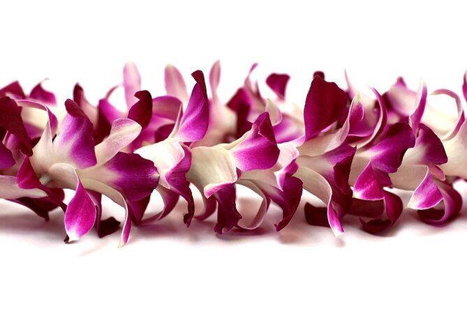 Orchid Airport Lei Greeting (Maui, Kahului Airport, OGG) - What You Actually Get: Name Sign, Fresh Leis, Airport Directions