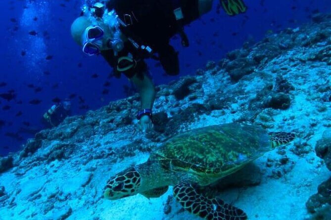 PADI Scuba Lesson and Shore Dive in Maui - Gear, Safety Checks, and Karim’s Calm Coaching Style