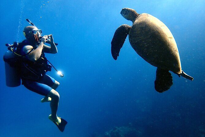 Private and Personalized Scuba Diving Adventures for All Experience Levels - Your Route Around Maui’s Coast: Olowalu, Kahekili, Kapalua