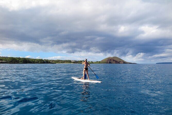 Private Beginner Paddleboard 101 Lesson: Makena Landing! - Snorkel time and sea-life viewing: when it may happen
