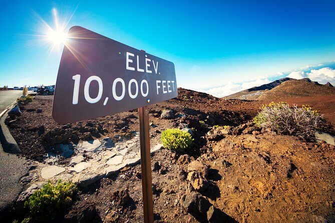 Private Haleakala Summit & Stroll from Kahului - Pu’u’ula’ula and the Silversword stop: small plant, big lesson