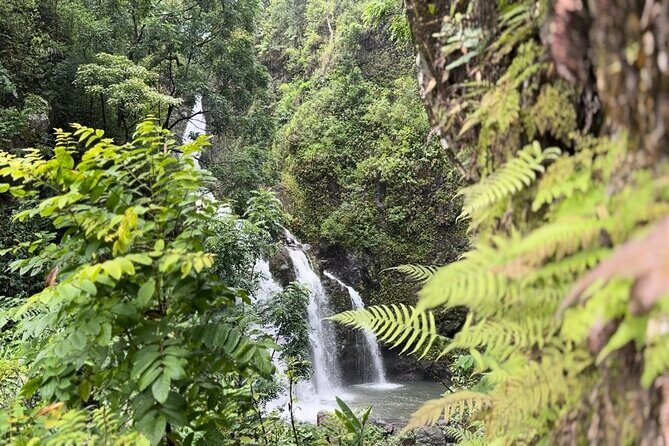 Private Road to Hana Maui Open-Air Jeep Tour - What you actually get for the price: guide time, snacks, and digital photos