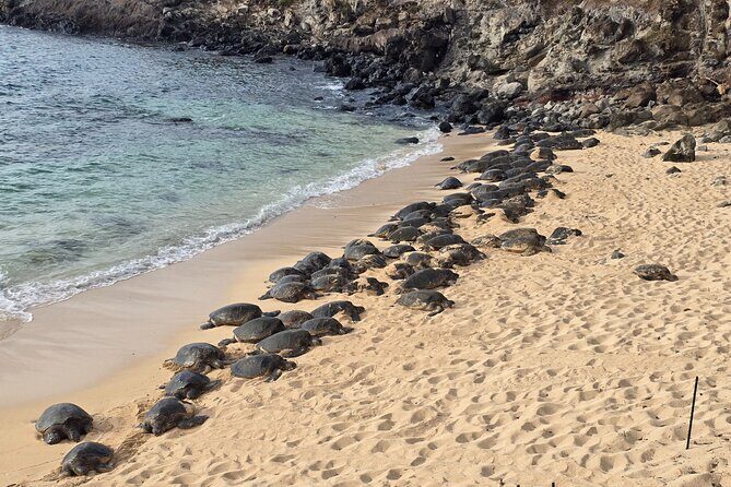 Private Road to Hana Tour with Pickup - Key highlights worth your attention