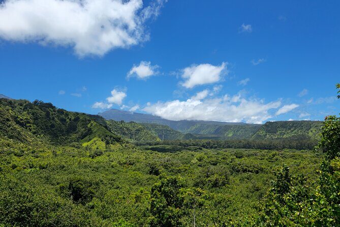 Private Road to Hana Tour with Pickup - Ke‘anae Point: black volcanic shore + taro farms + banana bread