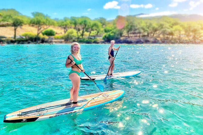 Private Stand Up Paddle Boarding Tour in Turtle Town, Maui - Private Guide Coaching: What Aqua and Sky Bring to the Session