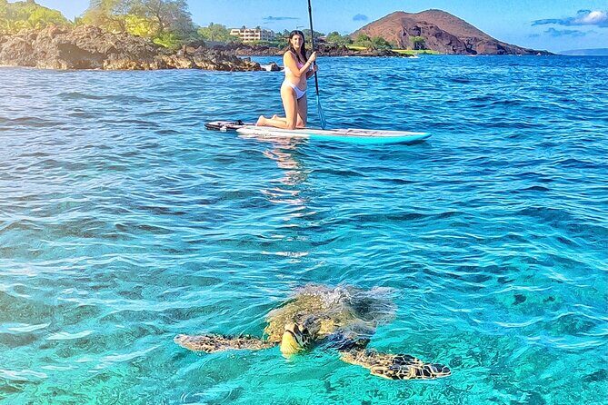 Private Stand Up Paddle Boarding Tour in Turtle Town, Maui - Wildlife Moments: Sea Turtles, Coral Reefs, and Rare Surprises