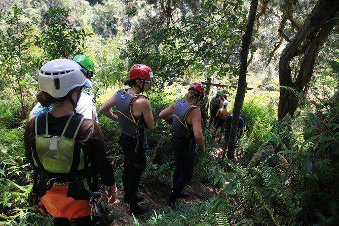 Rappel Maui Waterfalls and Rainforest Cliffs - Small group size: why 8 guests changes everything