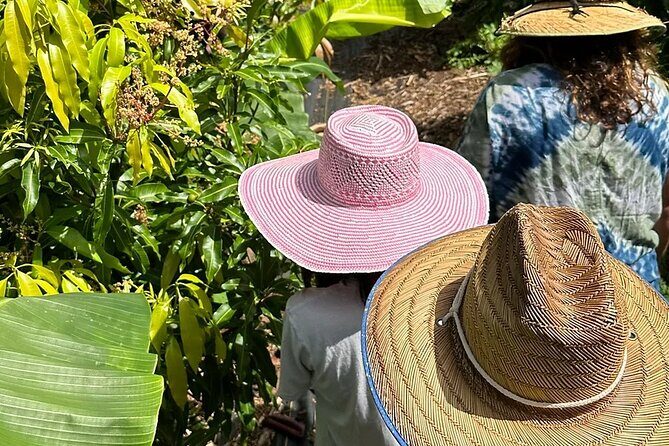 Regenerative Mango and Tropical Fruit Tour in West Maui - Key highlights worth aiming for