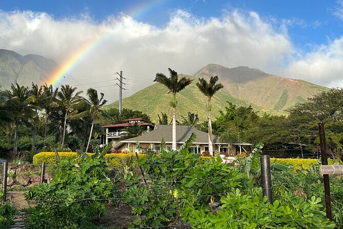 Regenerative Mango and Tropical Fruit Tour in West Maui - The regenerative permaculture lesson (15–20 minutes) that actually clicks