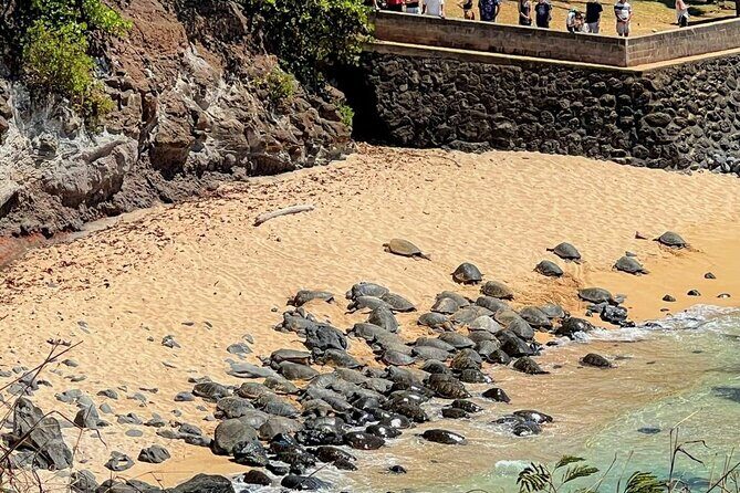 Road To Hana Black Sand Beach Waterfalls & Turtles Tour - Stop 3: Wai’anapanapa State Park and Black Sand Beach Time