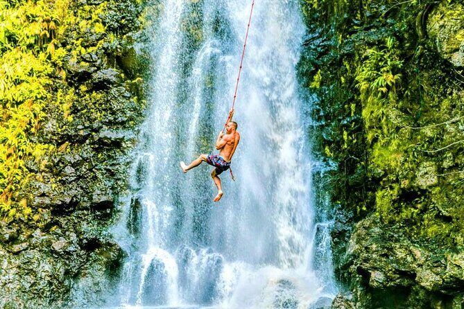 Road To Hana Black Sand Beach Waterfalls & Turtles Tour - Price and Value: Is $165 Fair for This Day?