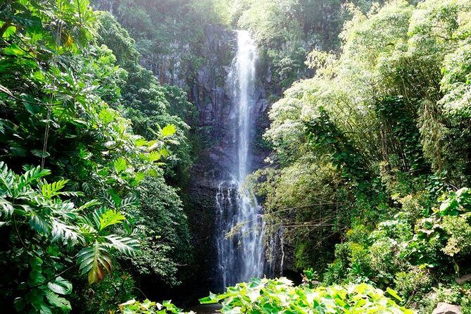 Road to Hana in Mercedes Van: Waterfalls and Black Sand Beach - Ke‘anae Point and Hana Highway: lava land, famous banana bread, and waterfalls