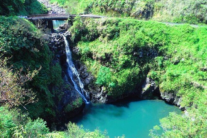 Road to Hana Private Jungle Tour - What “Private Jungle Tour” Means on the Road to Hana
