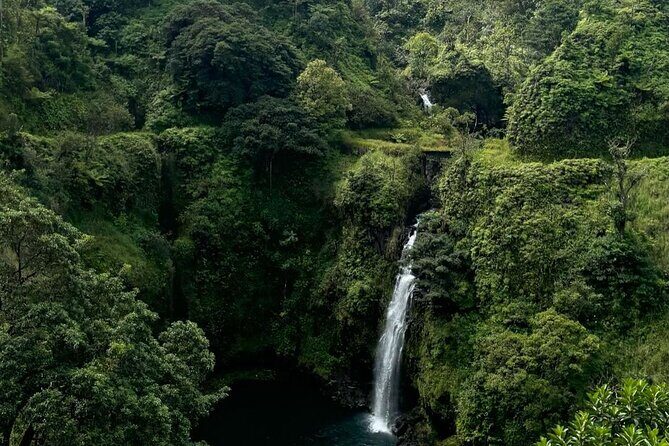 Road to Hana Small-Group, Waterfalls, Black Sand Beach & Pickup - Hana Highway in full: bridges, curves, and how the guide makes it feel manageable