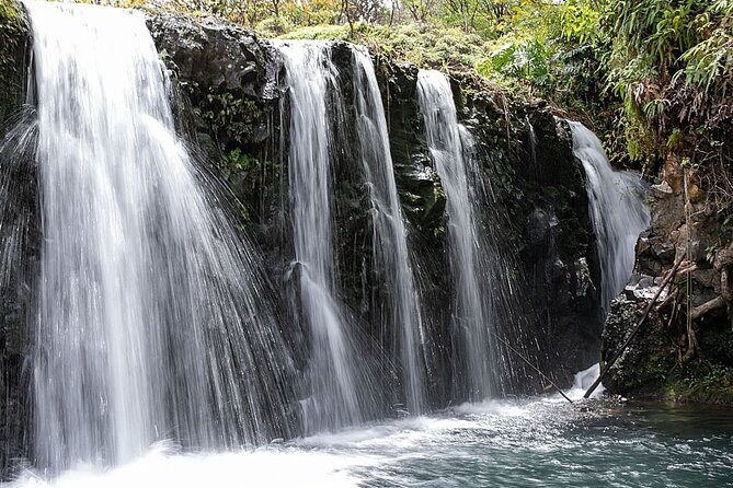 Road to Hana Small-Group, Waterfalls, Black Sand Beach & Pickup - Lunch in Hāna: local options that fit different diets