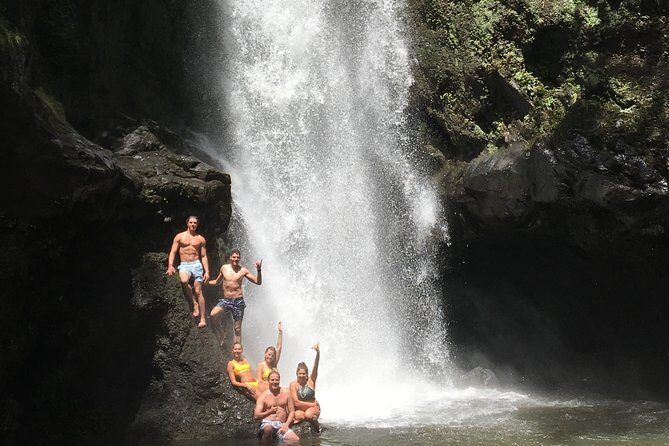 Road to Hana Tour - Waikamoi Ridge Trail: Ocean Views and Maui’s Weird-But-Wonderful Plants