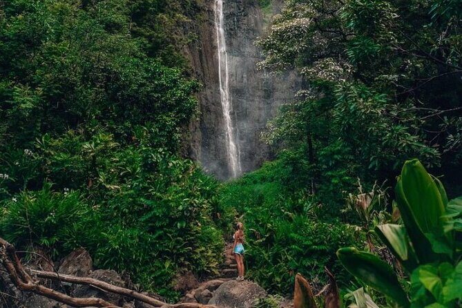 Road to Hana Tour - Best of Maui - Beaches, turtles, and the thrill of the red sand and black sand
