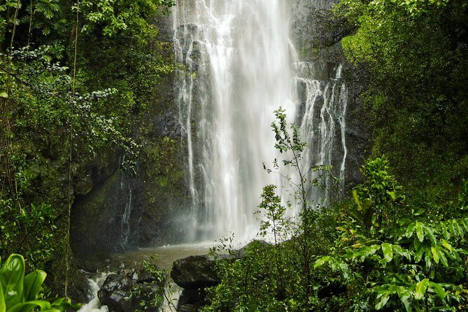 Road to Hana Tour with Lunch and Pickup - Lunch at a Local Flower Farm: A Picnic That Breaks the Drive Spell