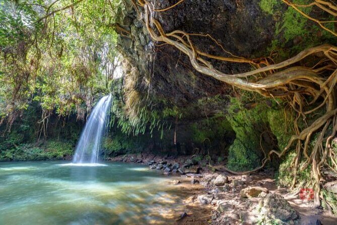 Self-Guided Audio Driving Tour in Maui - Keʻanae Arboretum and the Pipiwai Trail: the nature break that needs time