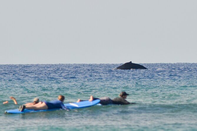 Semi Private Surf Lessons with Experienced Coaches - Key Points Before You Go